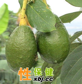 點(diǎn)擊圖片進(jìn)入下篇文章