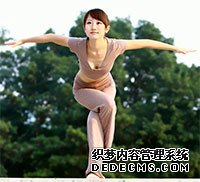 ����L��������������������